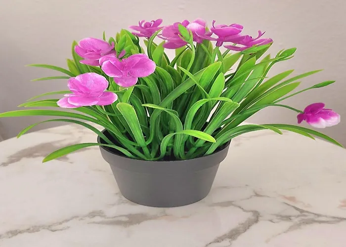 Gousios Appartement Polýgyros