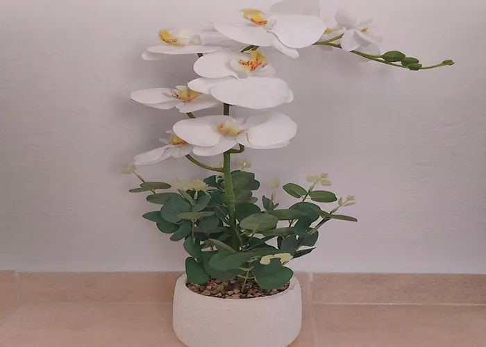 Gousios Appartement *