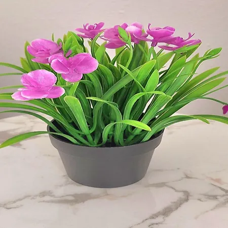 Gousios דירה Polýgyros