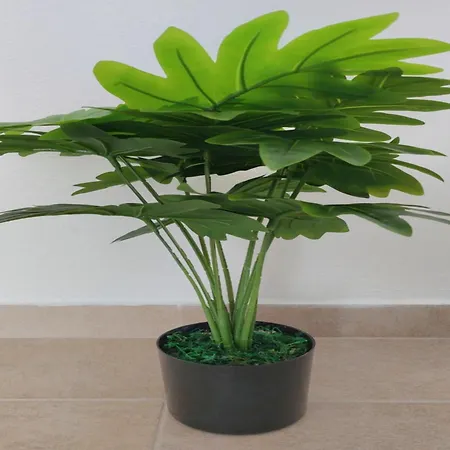 Διαμέρισμα Gousios Πολύγυρος