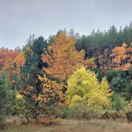 Gousios Διαμέρισμα