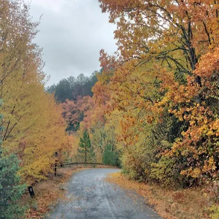 Gousios Διαμέρισμα