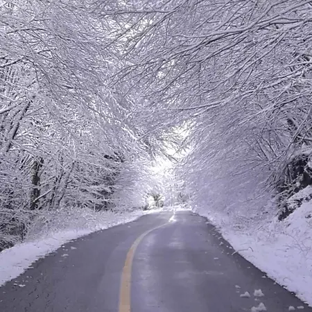 Gousios Διαμέρισμα Πολύγυρος