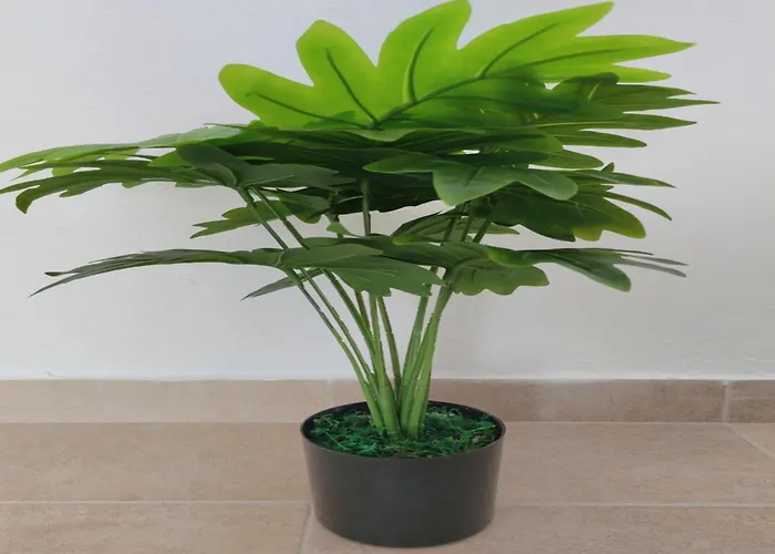 公寓 Gousios Polýgyros