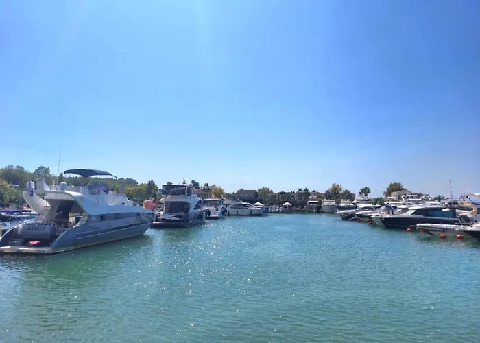 Gousios * Polýgyros