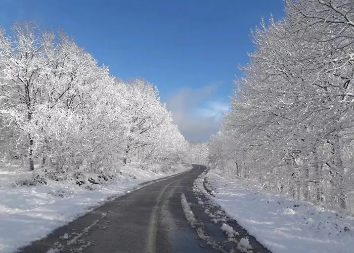 公寓 Gousios Polýgyros