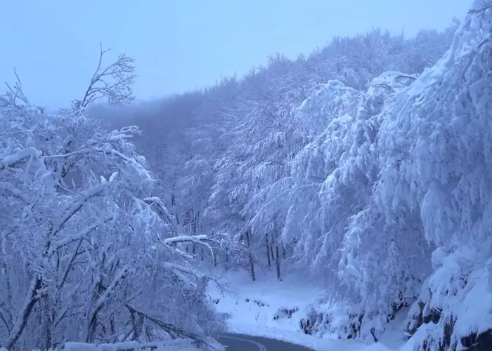 公寓 Gousios Polýgyros