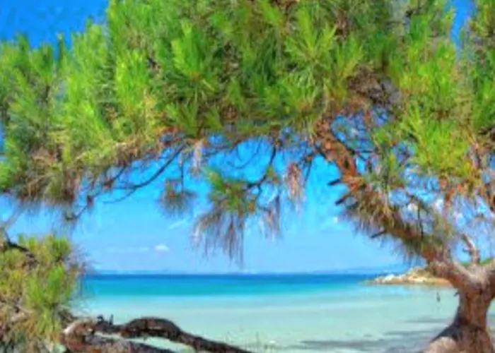 Διαμέρισμα Gousios Πολύγυρος